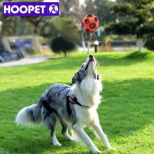 Load image into Gallery viewer, HOOPET Pet Dog Toys Toy Funny Interactive Ball Dog Chew Toy For Dog Ball Of Food Rubber Balls Pets Supplies
